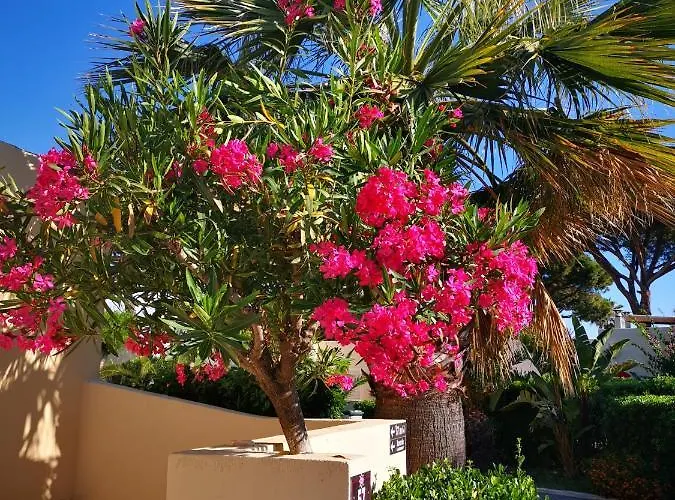 Hotel & Restaurant San Pellegrino